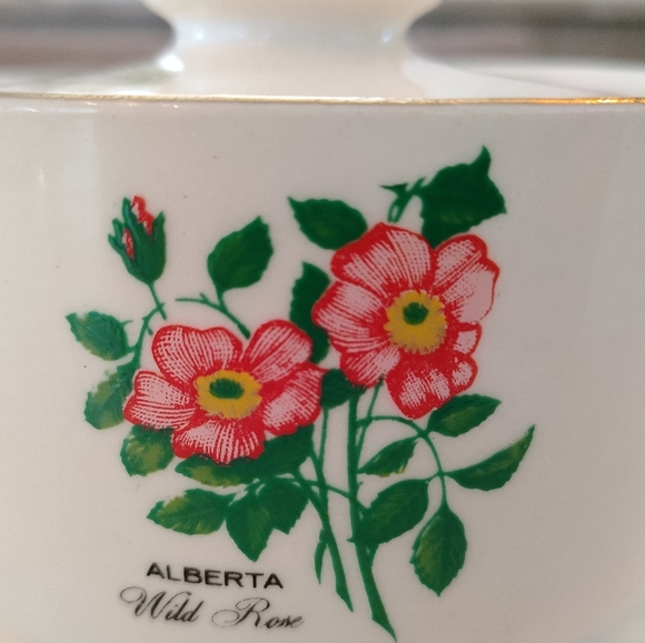 Antique Wild Rose Alberta souvenir dish 22k double handled bowl with lid - Picture 5 of 13
